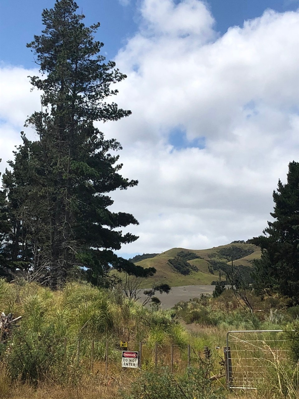 Neuseeland - Bethells Beach - Im Hintergrund erkennen wir bereits die grosse Düne