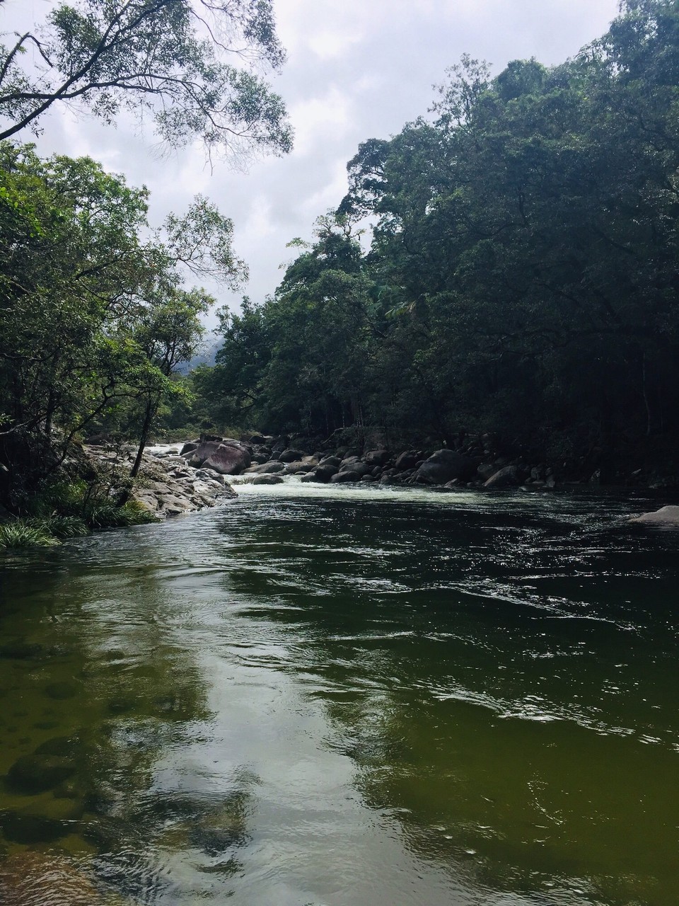Australien - Mossman Gorge - 
