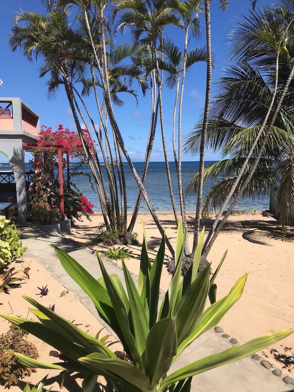 Dominica -  - 
