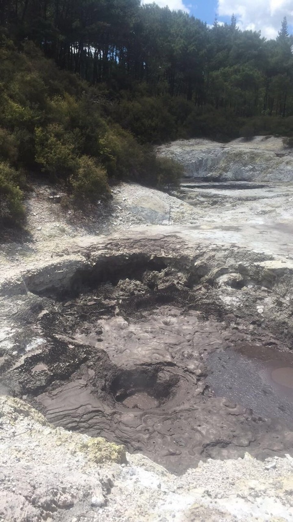 New Zealand - Waiotapu - 