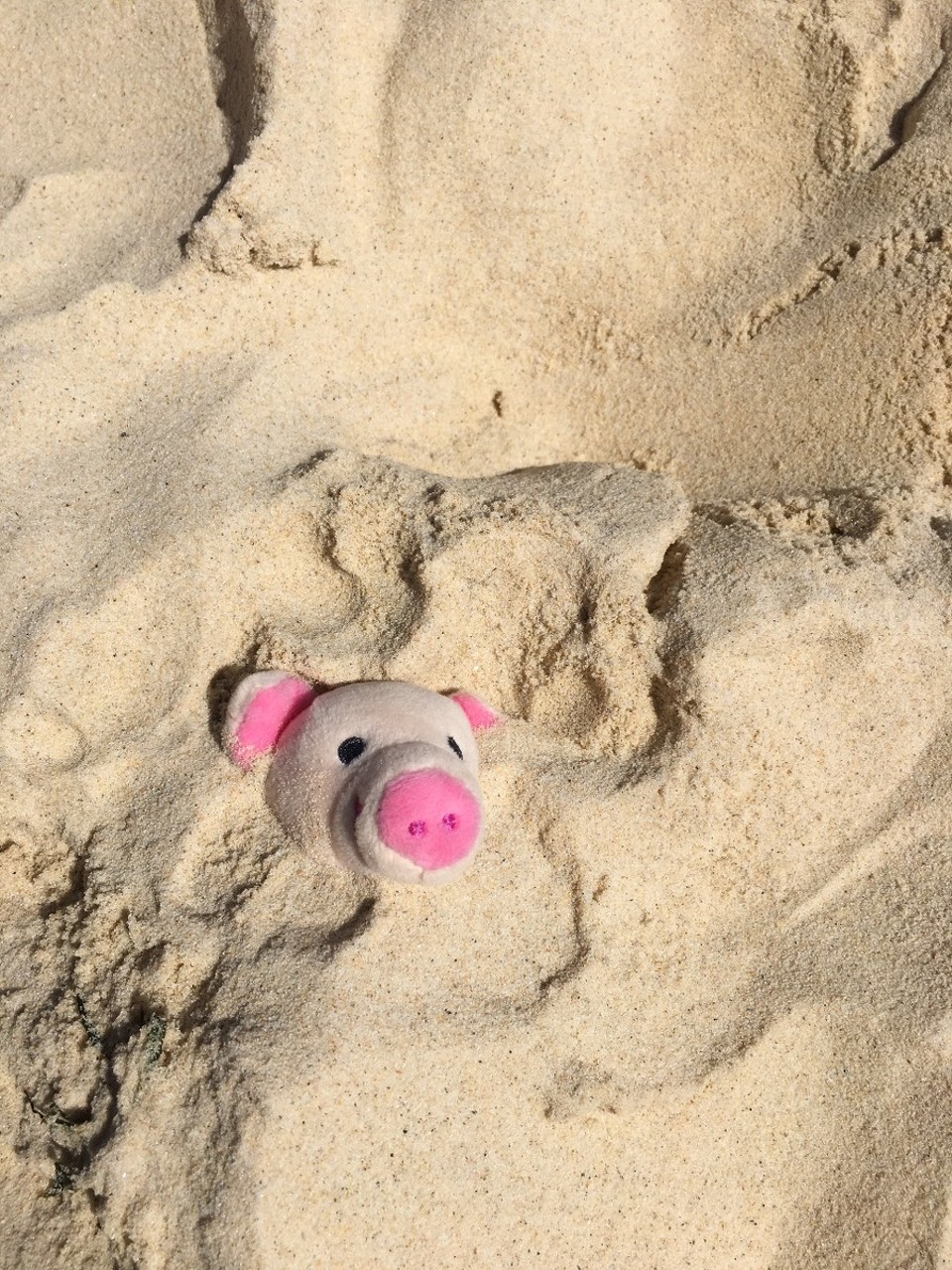 Australien - Bondi Beach - Kühlung im Sand