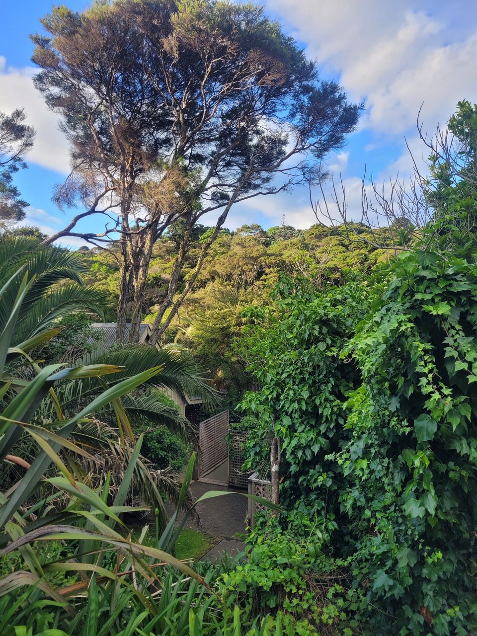 Neuseeland - Waiheke Island - 