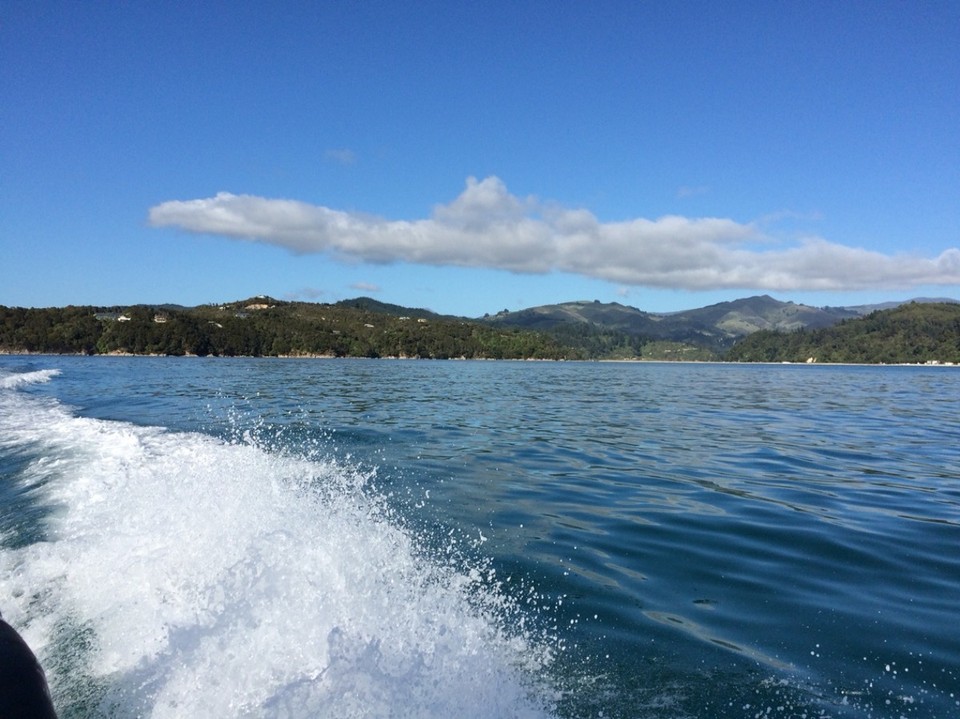 Neuseeland - Motueka - Wassertaxi 