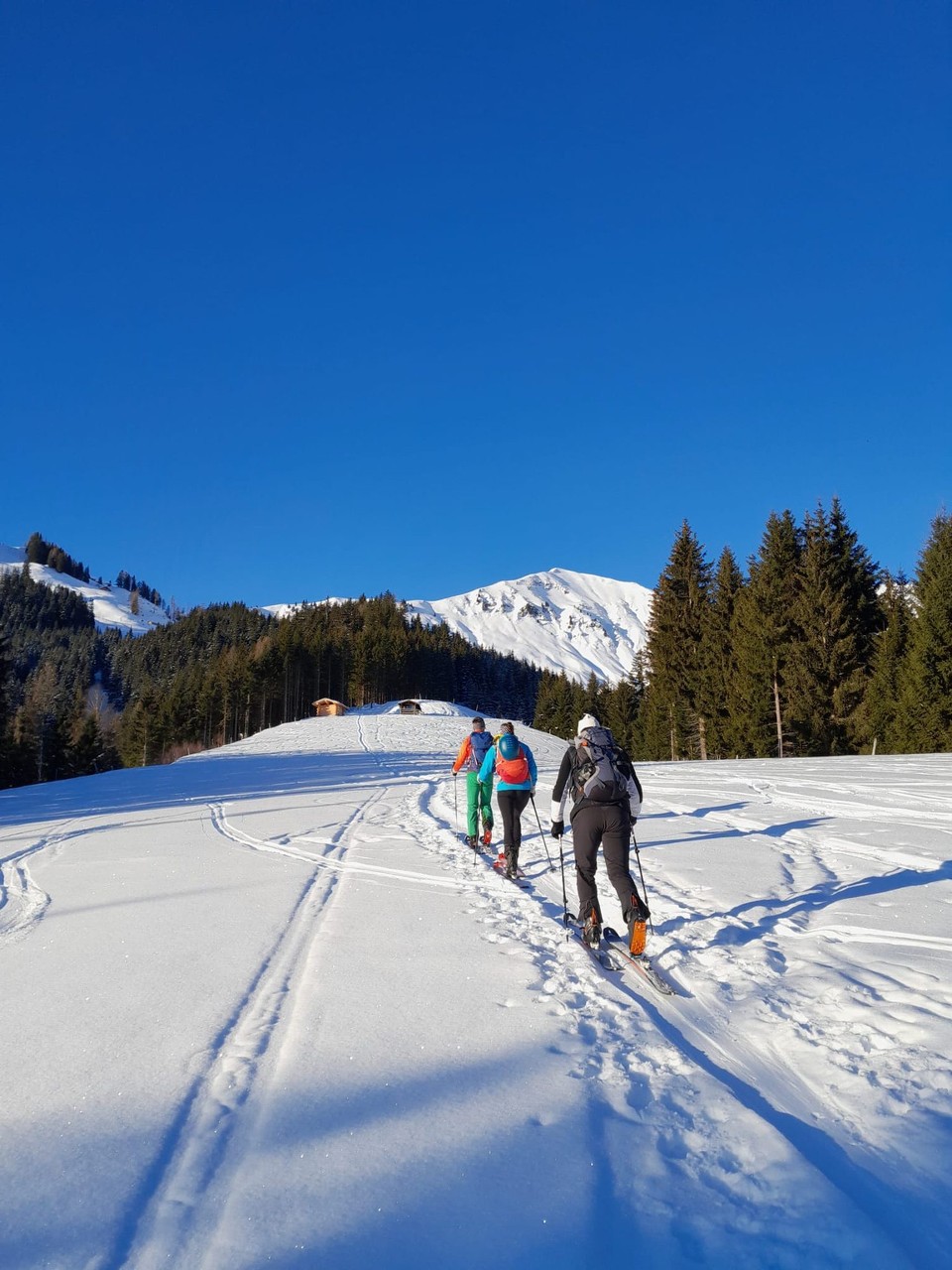 Österreich - Dienten am Hochkönig - 