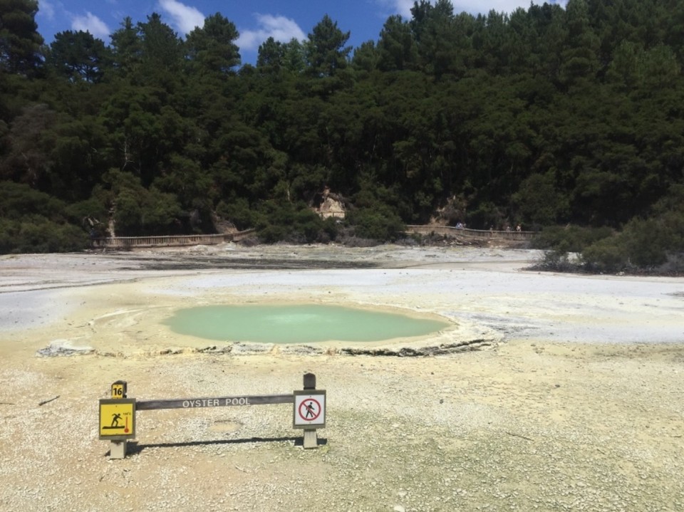 Neuseeland - Rotorua - 