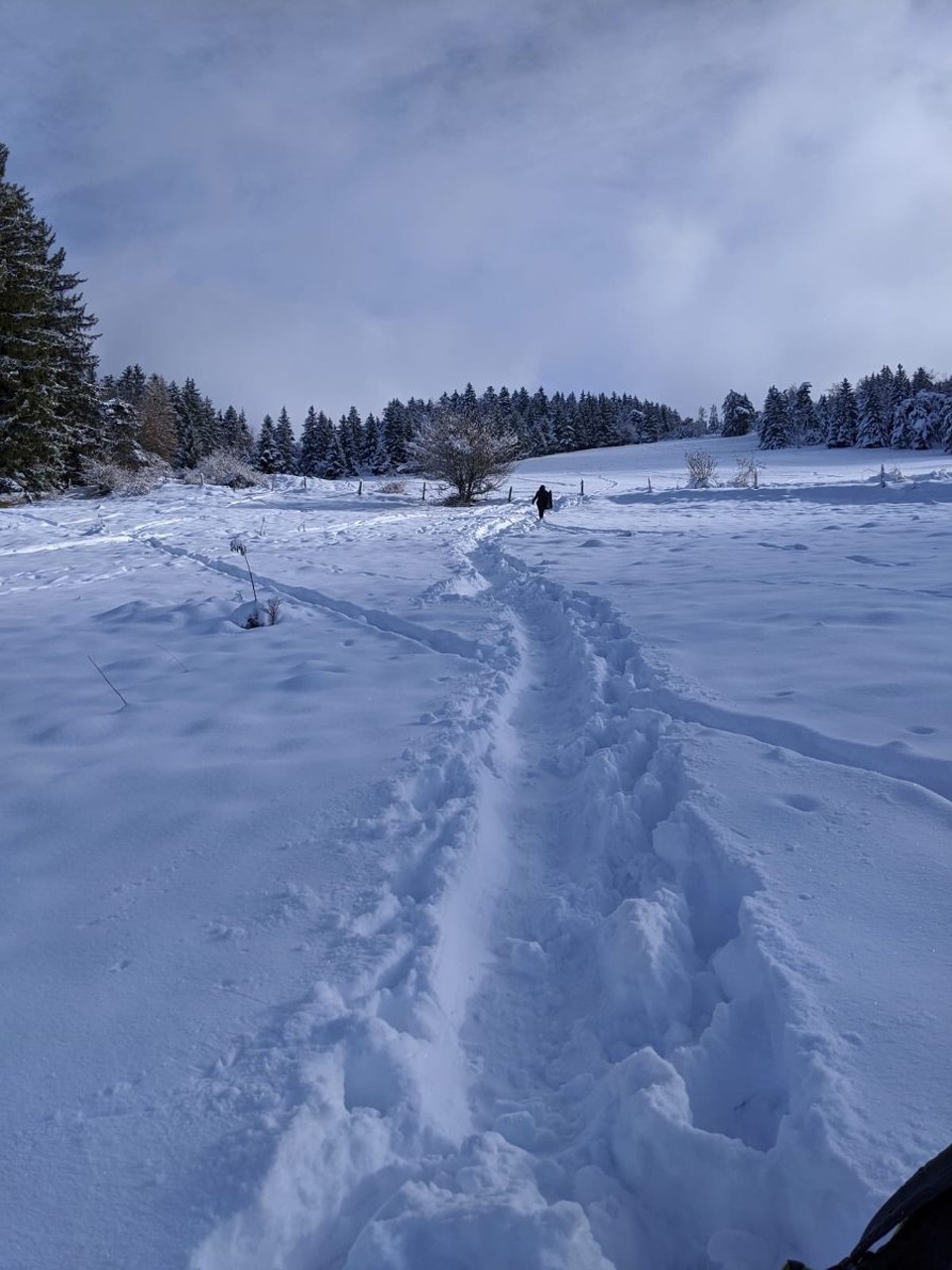 Frankreich - Villard de Lans - 