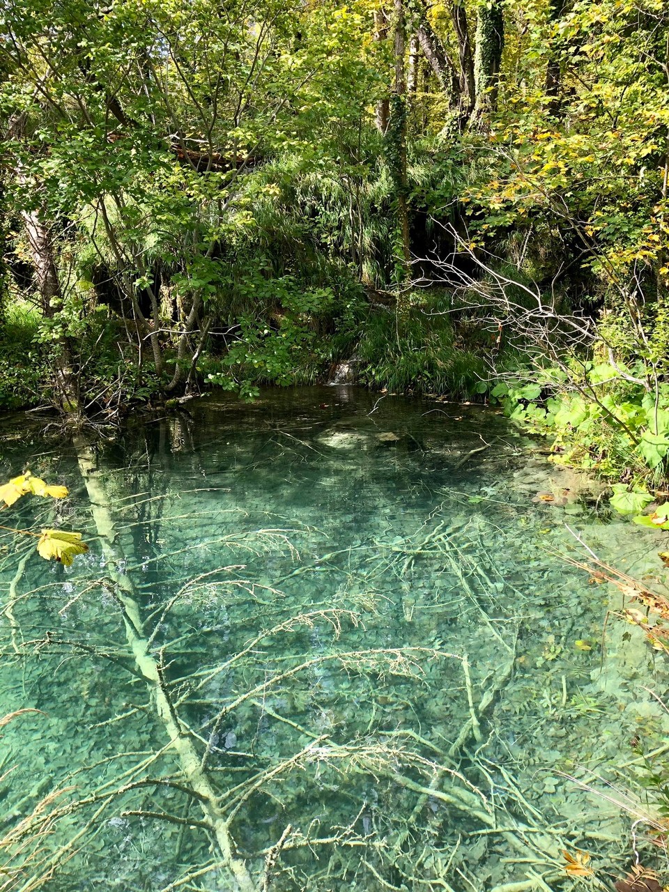 Kroatien - Plitvička jezera - 