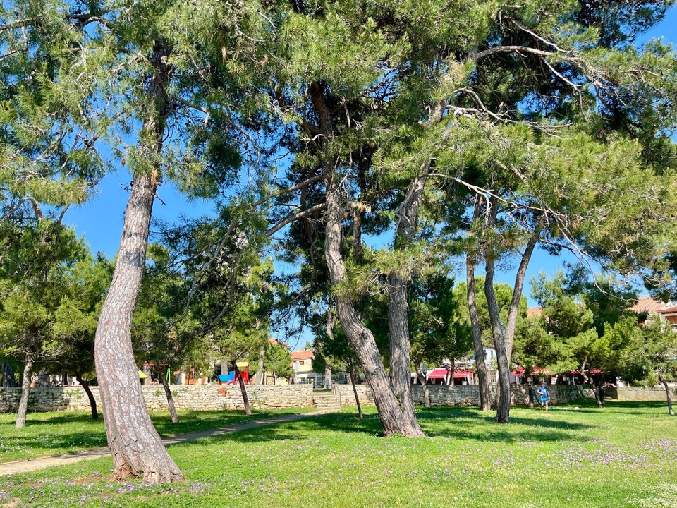 Kroatien - Novigrad - 