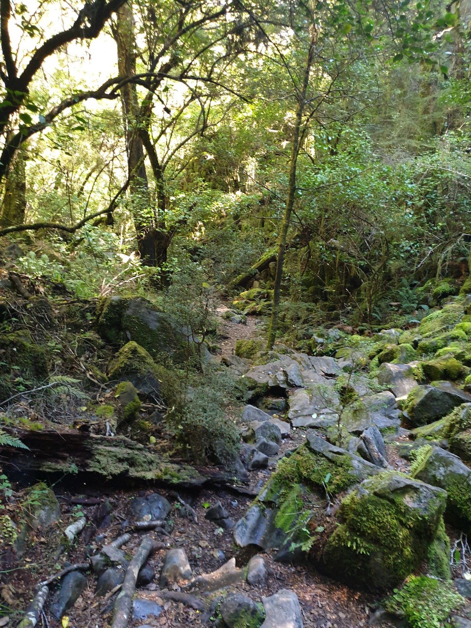 Neuseeland - Mapua - 