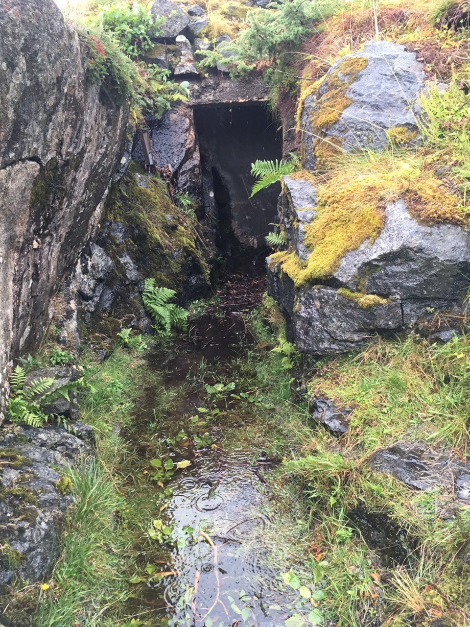  - Fort Grønsvik - 