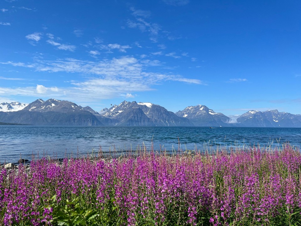 Norwegen - Skibotn - 