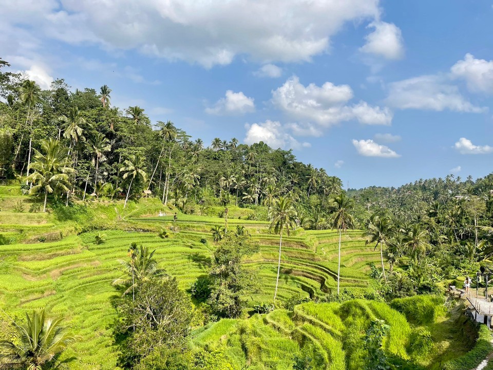Indonesien - Gianyar - 