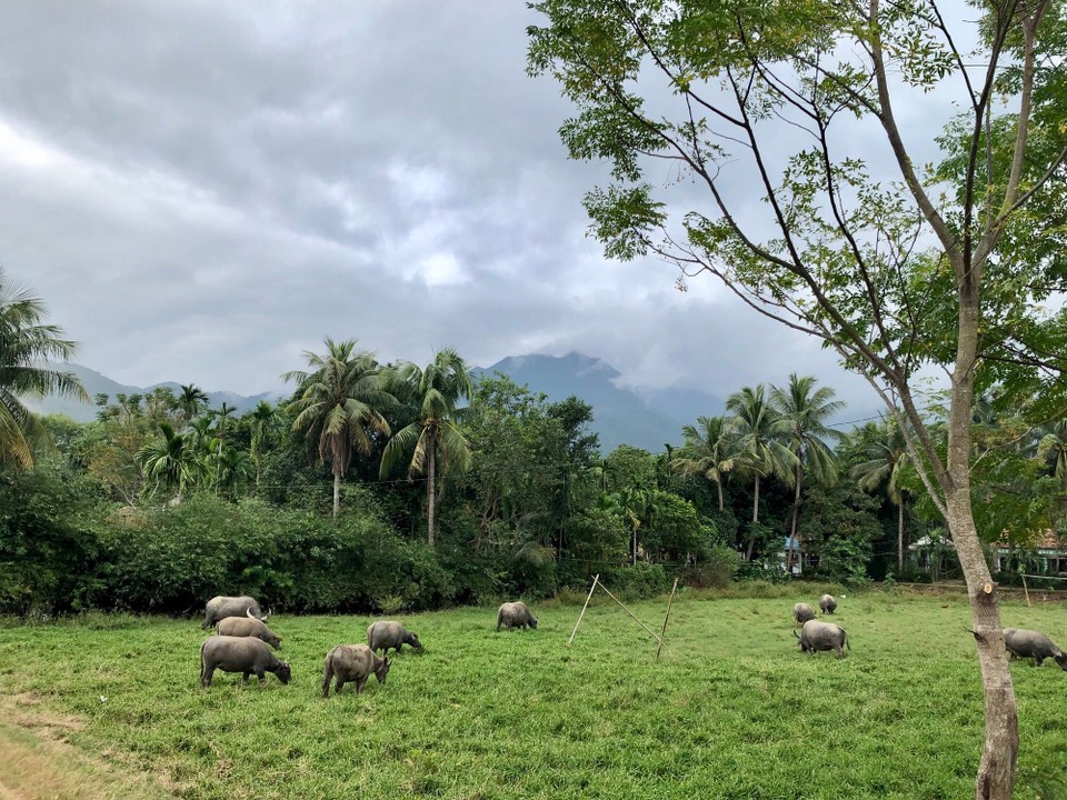Vietnam - Da Nang - 