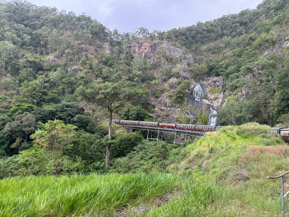 Australien - Kuranda - 