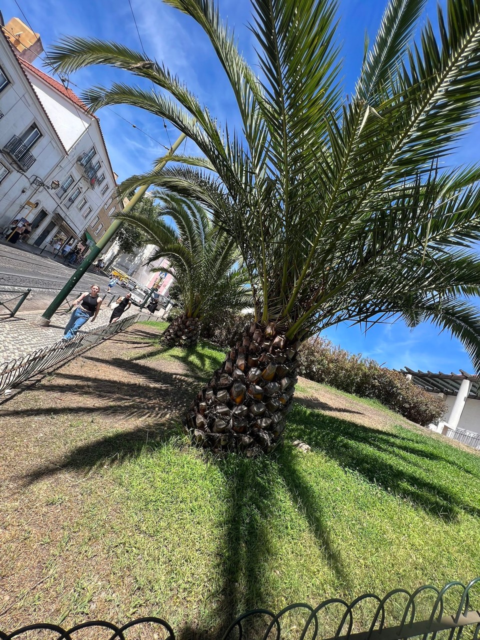 Portugal - Lissabon - 