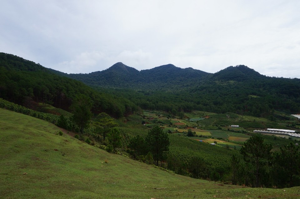 Vietnam - Da Lat - 