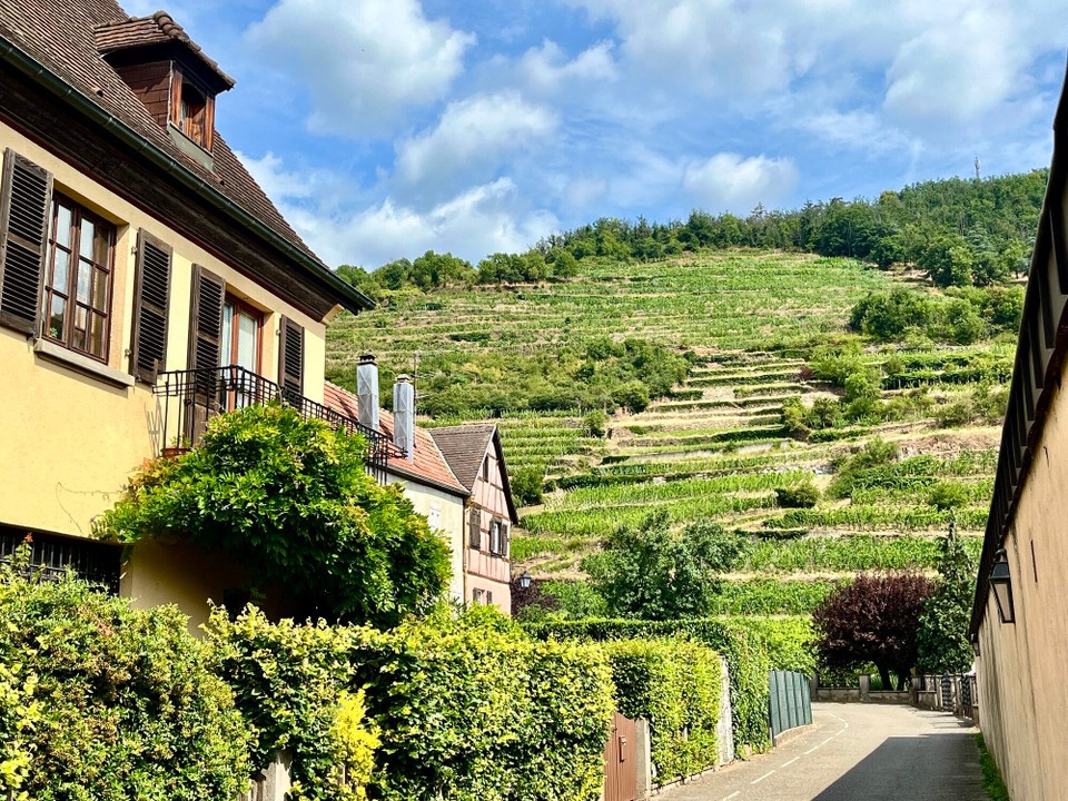 Frankreich - Kaysersberg Vignoble - 
