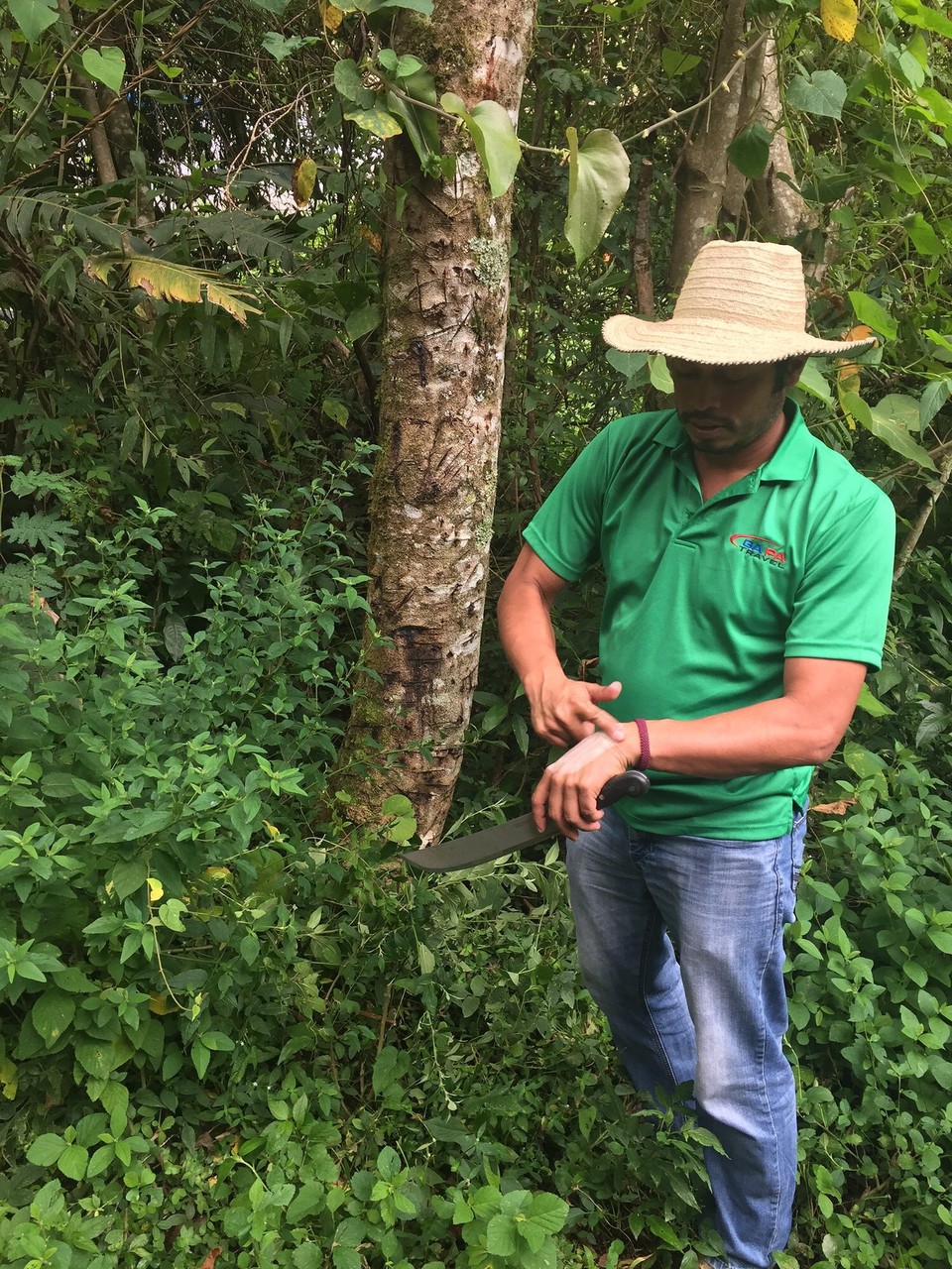 Panama - Boquete - 