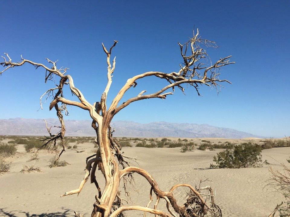 Vereinigte Staaten - Death Valley - So heiß wars hier - Fotos machen und gleich wieder ins Auto