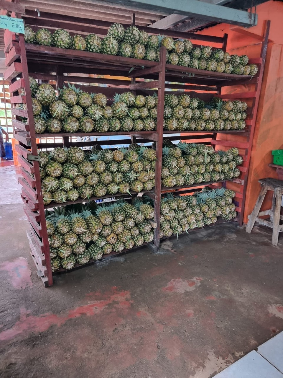 Panama -  - 🍍🍍🍍 
 