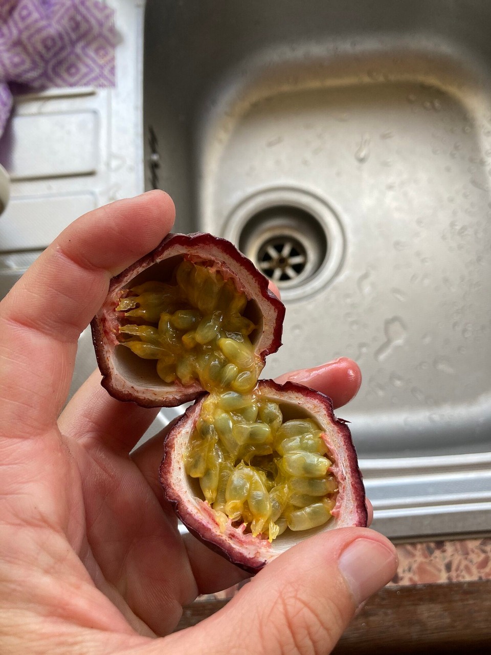 Neuseeland - Hikurangi - Bisschen was gesundes für zwischendurch 🤤