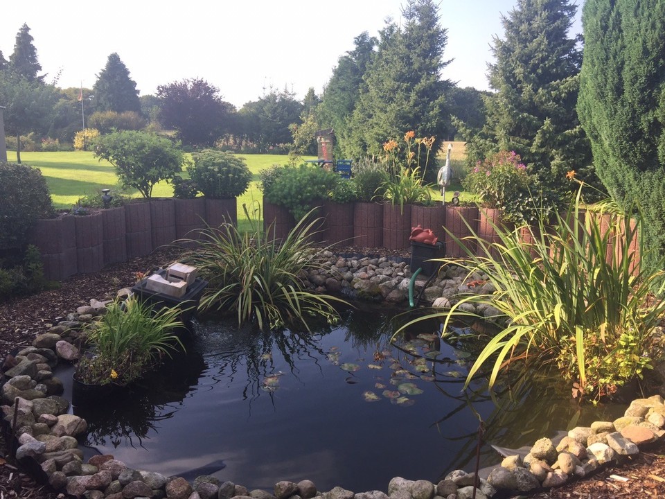  - Germany, Neuharlingersiel - Robert & Ulrike's beautiful backyard. 