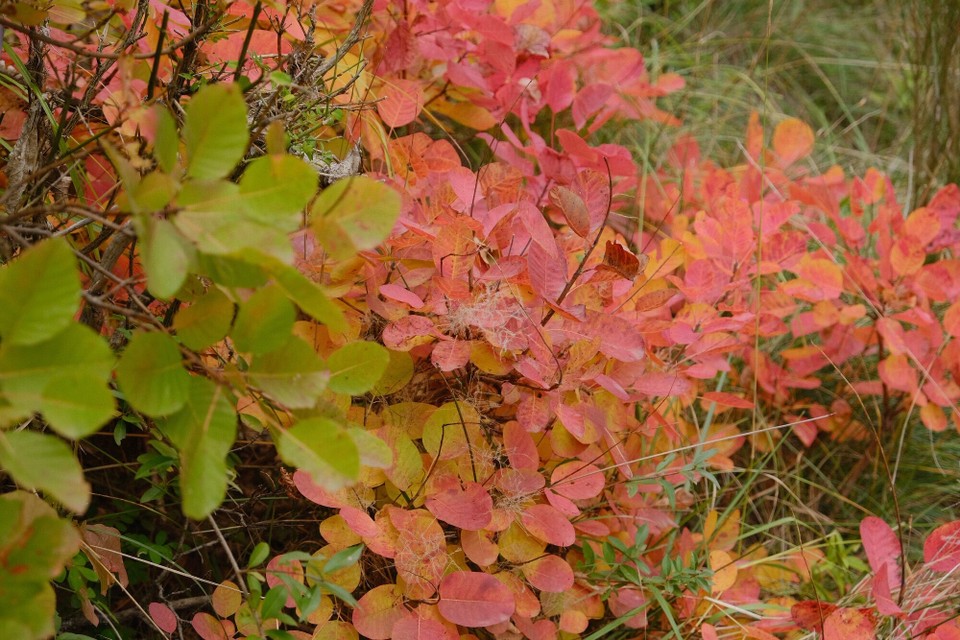 Frankreich - Moustiers-Sainte-Marie - 