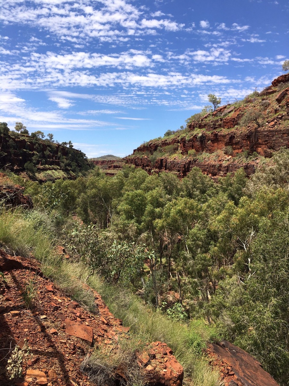 Australien - Karijini - 