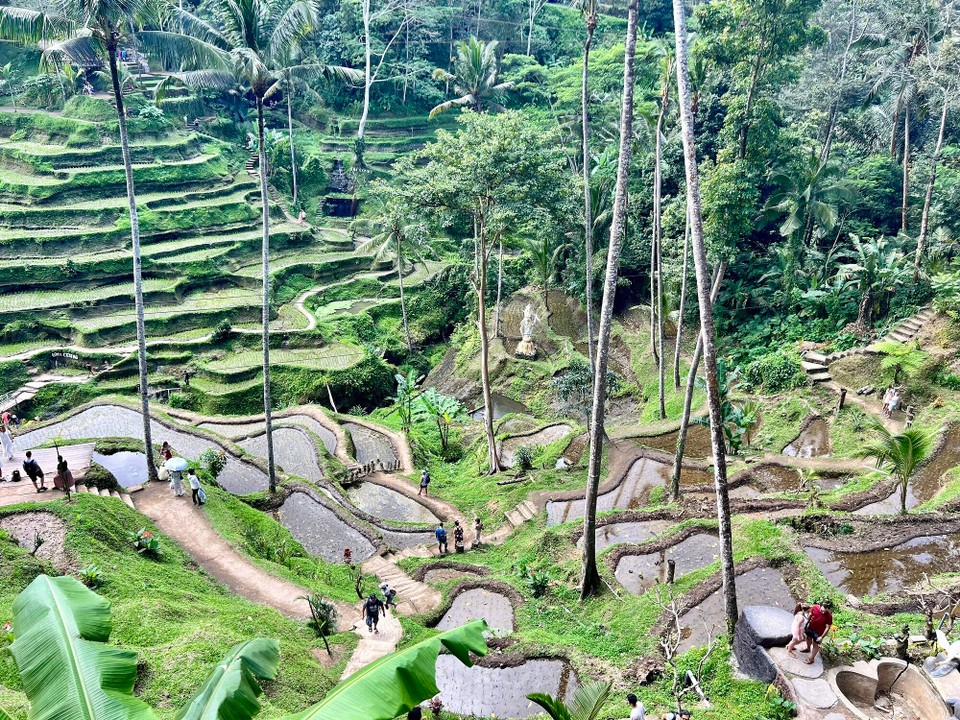 Indonesien - Gianyar - 