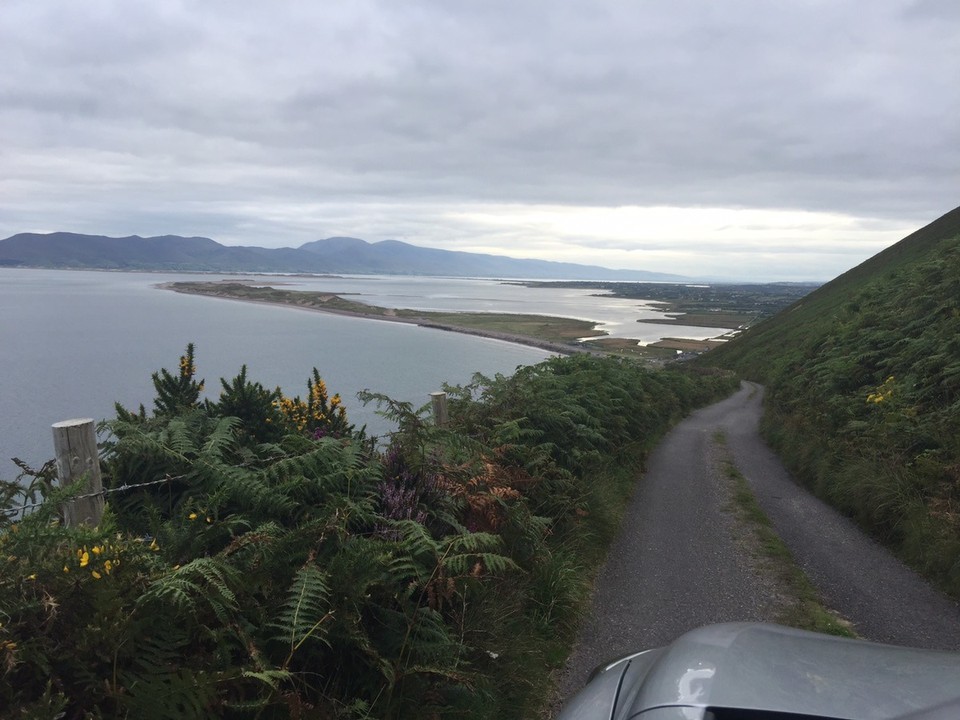  - Ireland, Waterville, Ring of Kerry - Ring of Kerry, Glenbeigh narrow coastal road