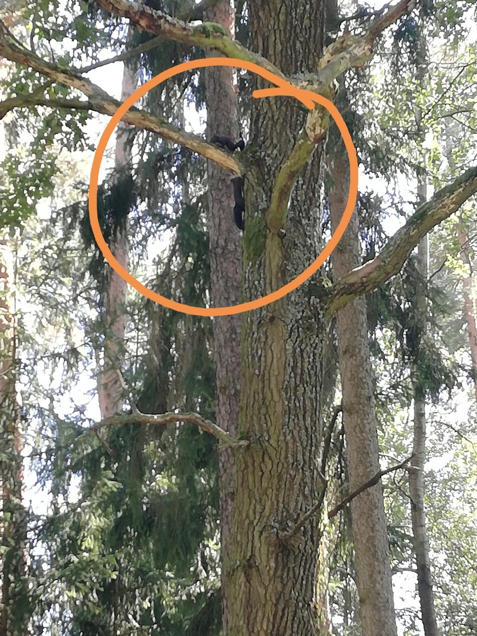Deutschland - Fuchsmühl - Und die hier