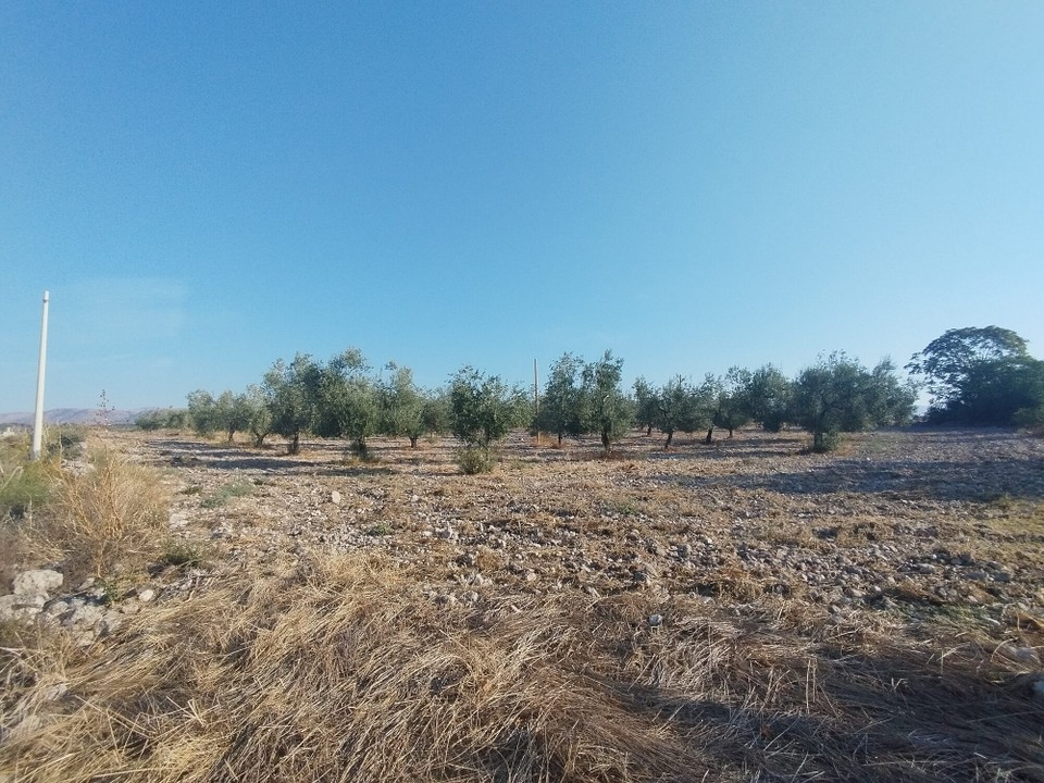 Italien - Alberobello - 