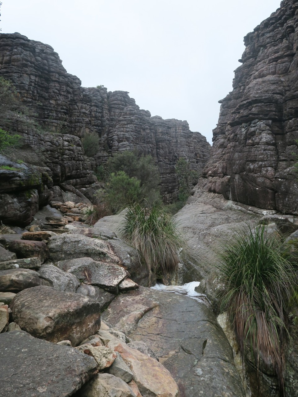 Australia - Grampians - Silence street bien bruyante ce jour là