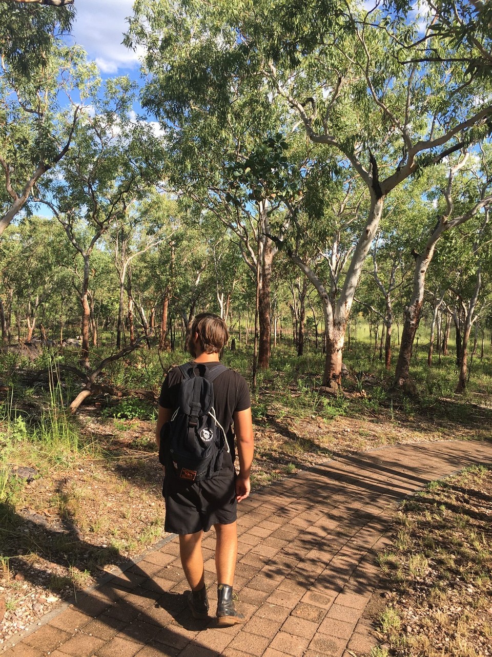 Australien - Kakadu - 