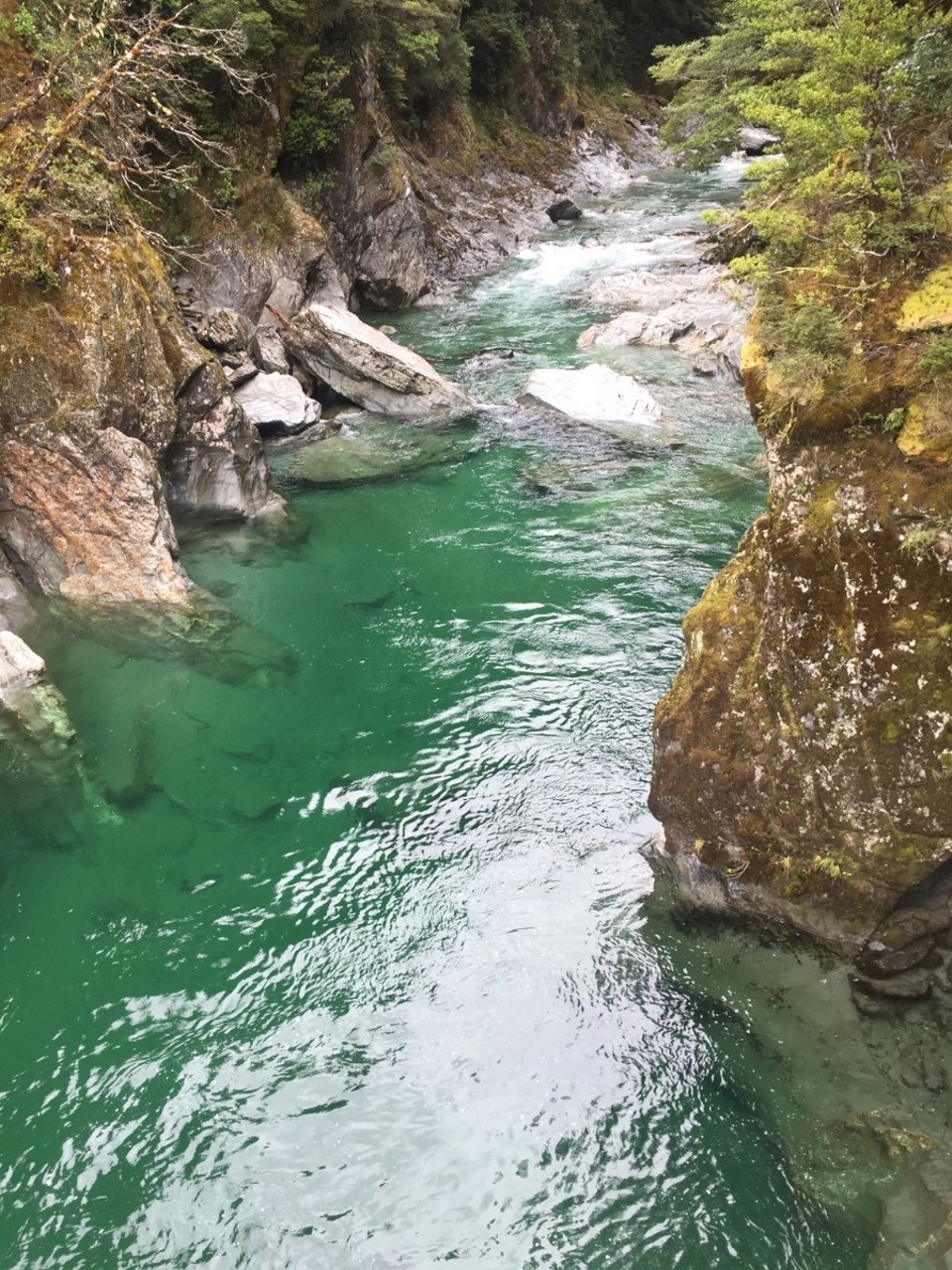 Neuseeland - Mt Aspiring National Park - 