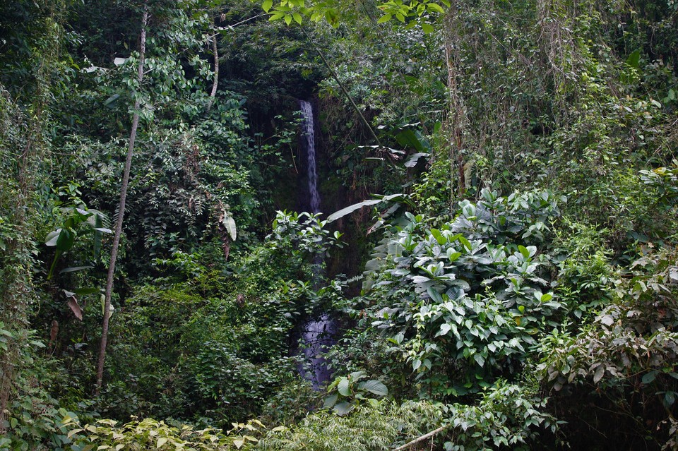 Colombia - Jardín - Cascada Escondida - Versteckter Waserfall