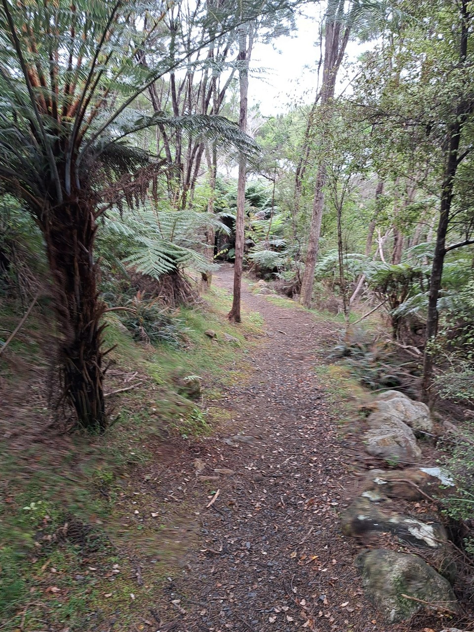 Neuseeland - Whangaruru - 