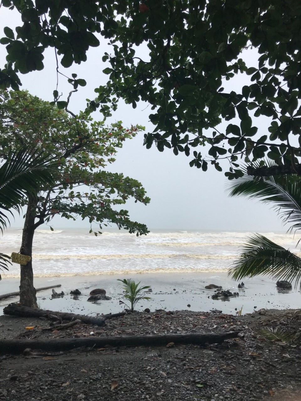 Costa Rica - Talamanca - 