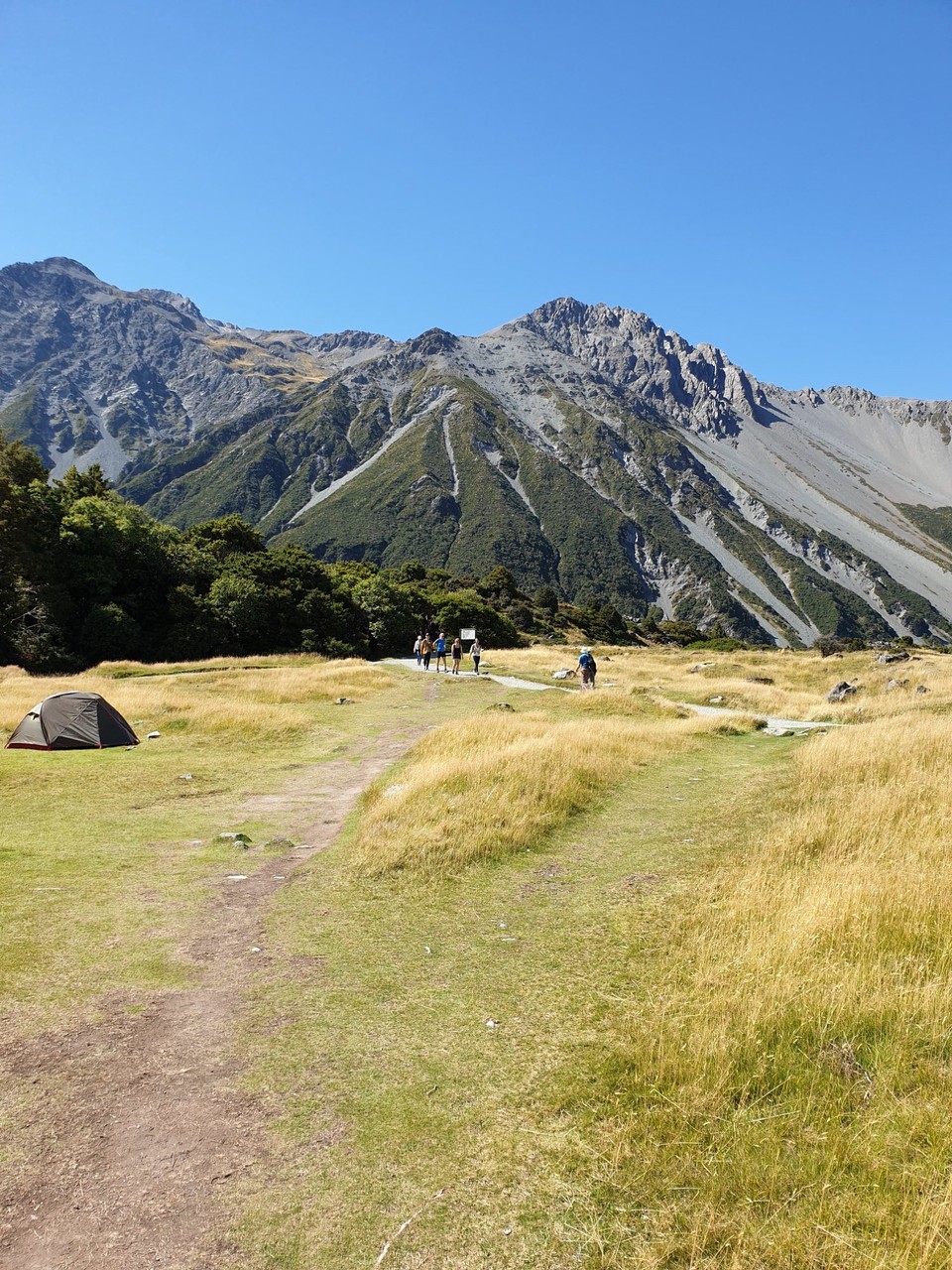 Neuseeland - Aoraki - 