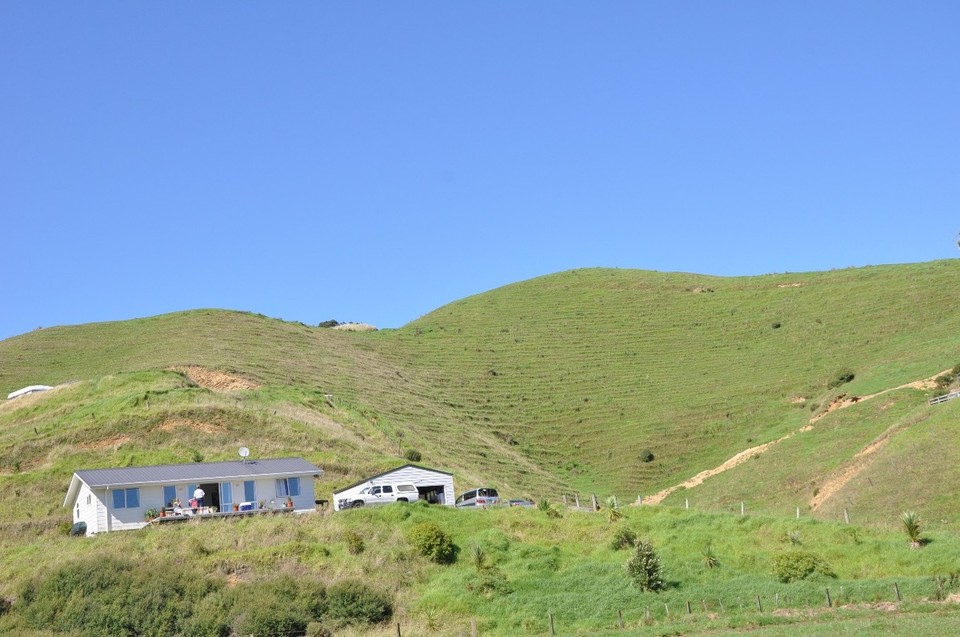 Neuseeland - Waitomo-Distrikt - Wie auf einer Schweizer Alp