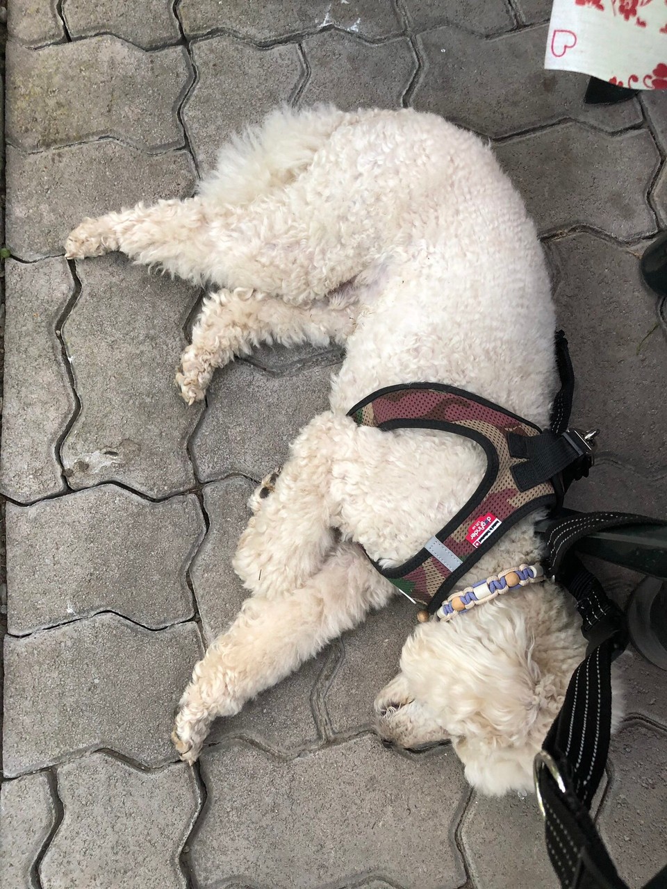 Italien - Unsere Liebe Frau im Walde-Sankt Felix - Müde...