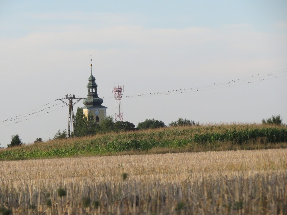 Polen - Polanica-Zdrój - 