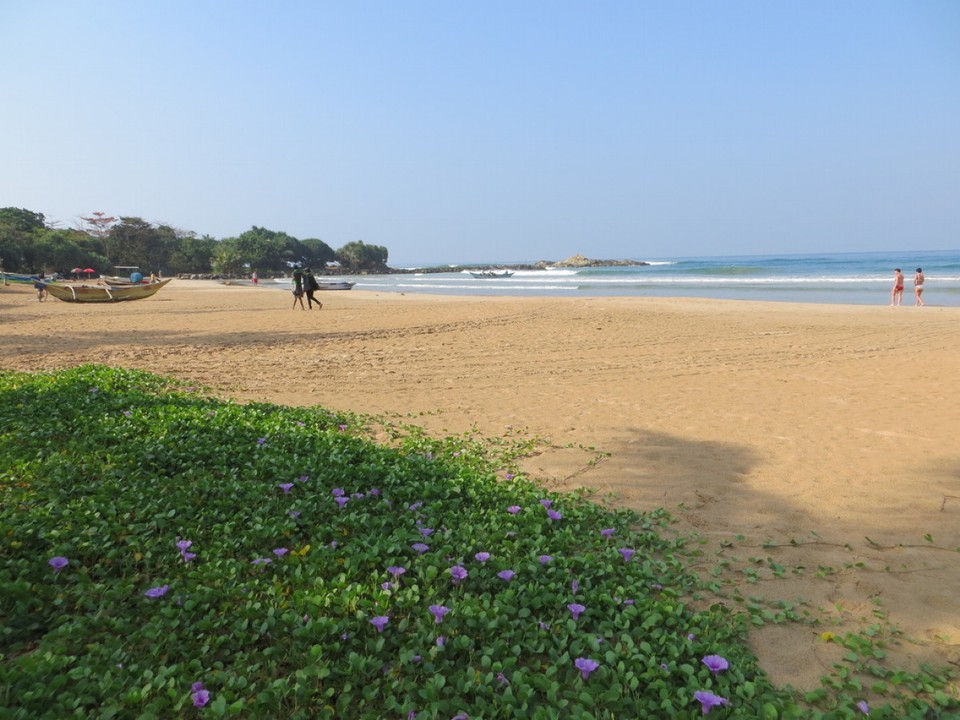 Sri Lanka - Bentota Beach - 