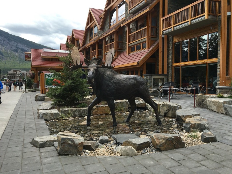 Kanada - Banff - Natürlich gibt es hier auch Elche - nur dass ich noch keinen Lebenden gesehen habe 