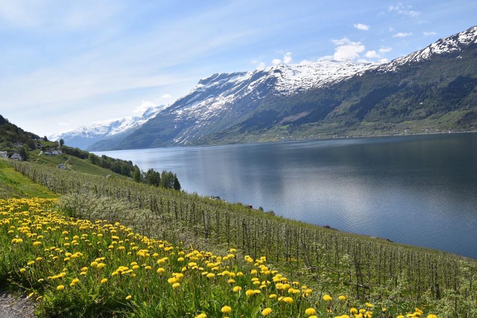 Norwegen - Hovden - 