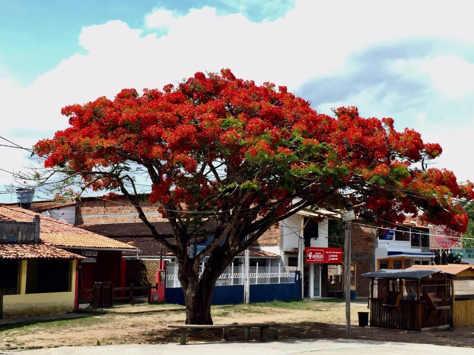 Brasilien - Cairu - 