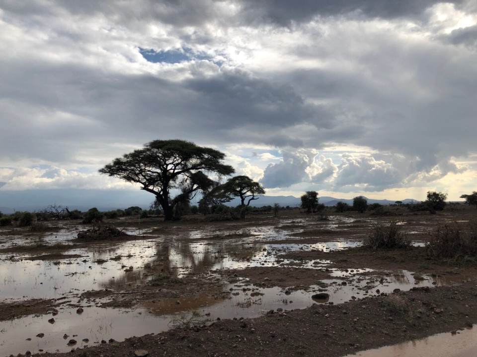 Kenia - Kajiado - 