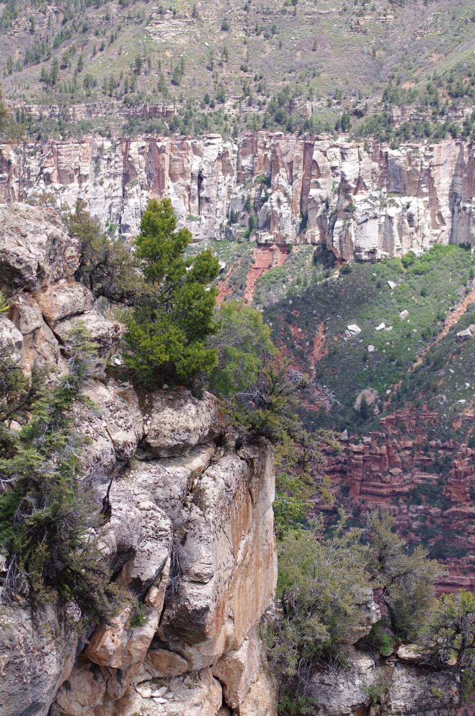 USA - Grand-Canyon-Nationalpark - 