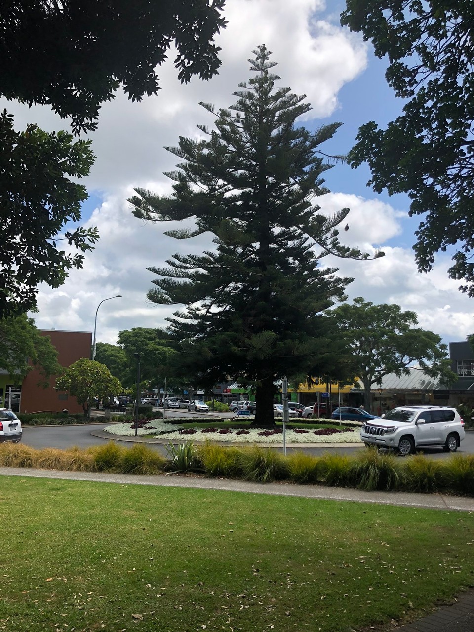 Neuseeland - Whakatane - Roundabout in Whakatane