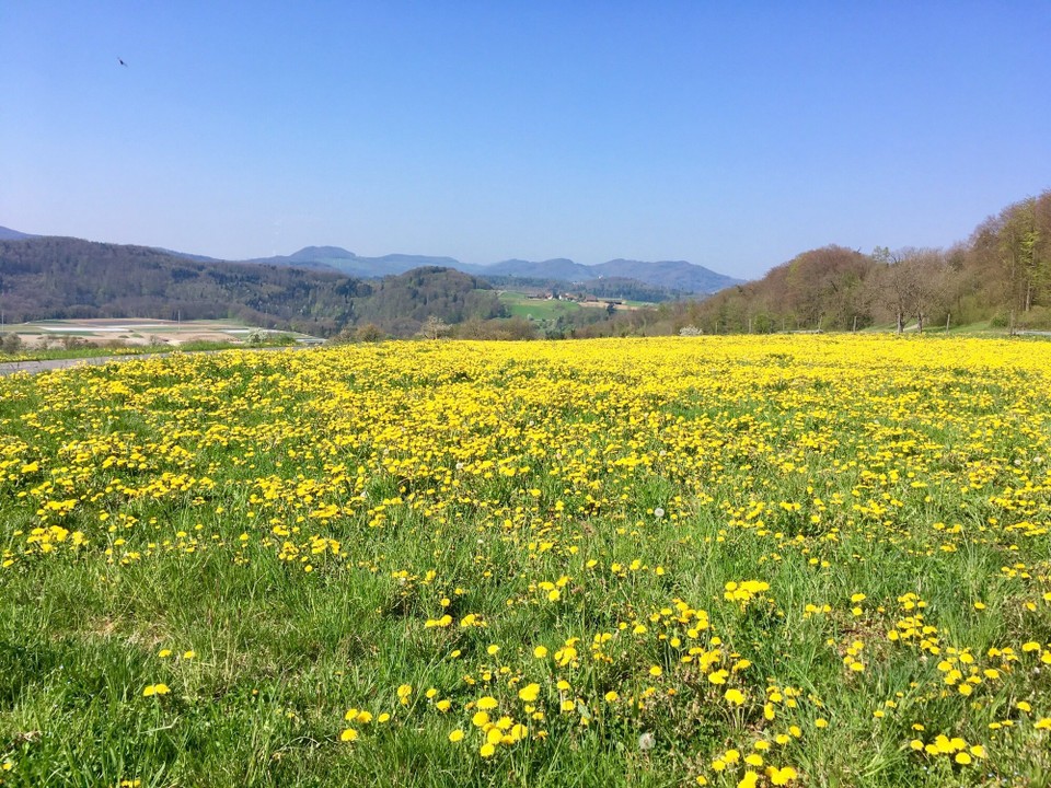Schweiz - Baden - 